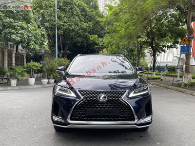 Xe Lexus RX 300 2020