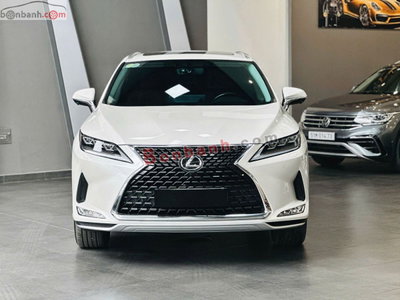 Xe Lexus RX 300 2021