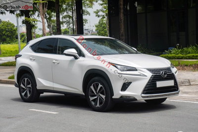 Xe Lexus NX 300 2017
