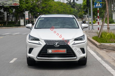 Xe Lexus NX 300 2017