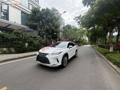Xe Lexus RX 300 2021
