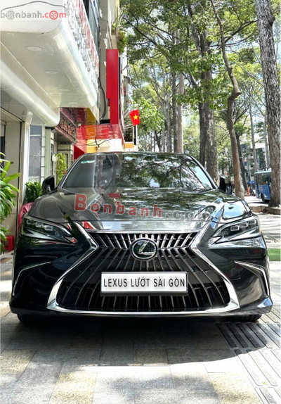 Xe Lexus ES 250 2023