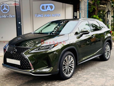 Xe Lexus RX 300 2022