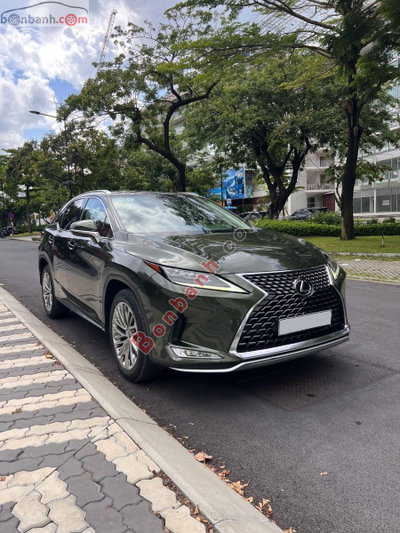 Xe Lexus RX 300 2022