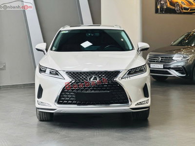 Xe Lexus RX 300 2020