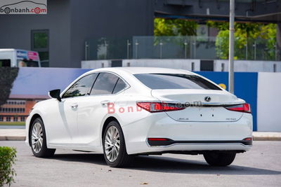 Xe 
			
							Lexus ES 
						250 
						2021