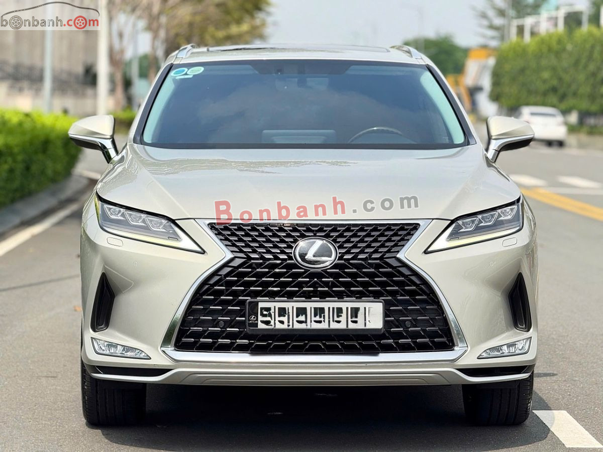 Xe 
			
							Lexus RX 
						300 
						2021