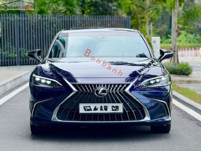 Xe 
			
							Lexus ES 
						250 
						2022
