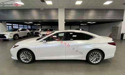 Xe Lexus ES 300h 2024