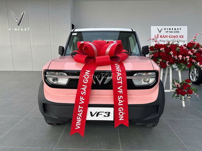 VF3 - MIỄN PHÍ SẠC + HT VAY BAO NỢ XẤU