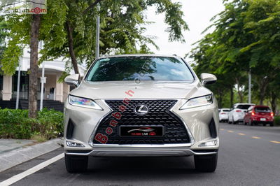 Xe Lexus RX 300 2020