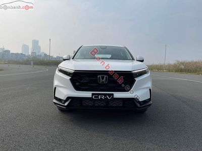Xe Honda CRV L AWD 2024