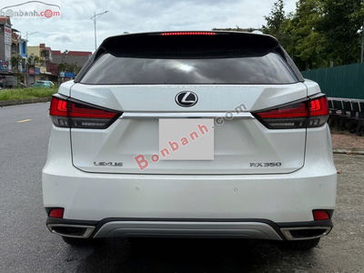 Xe Lexus RX 350 2020