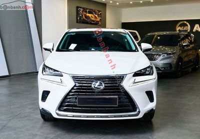 Xe Lexus NX 300 2018