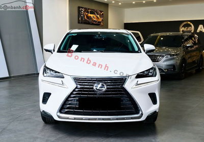 Xe Lexus NX 300 2019
