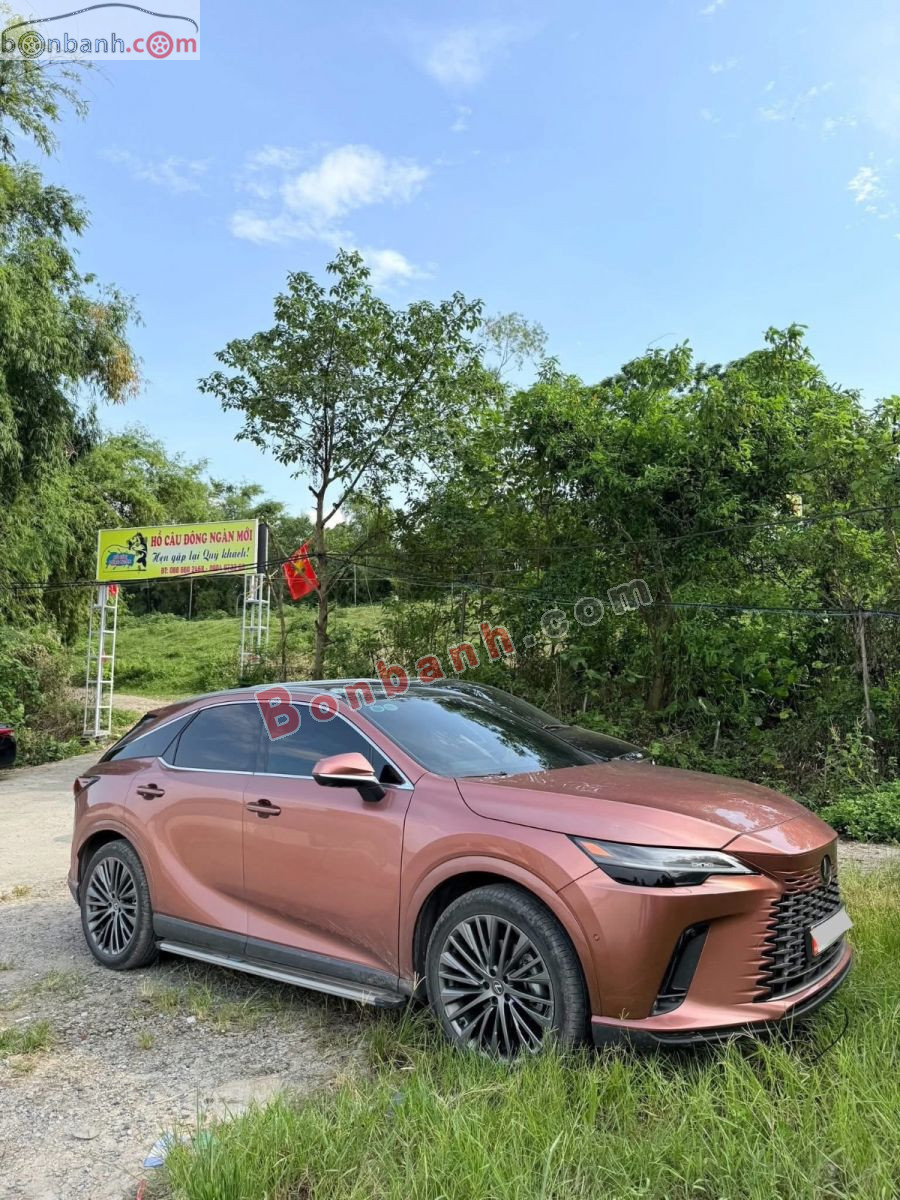 Xe Lexus RX 350 Luxury 2023