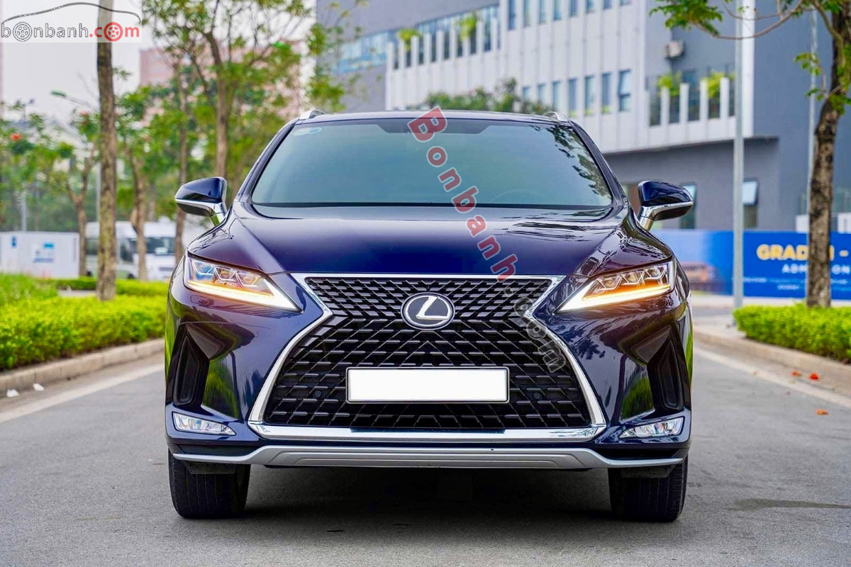 Xe Lexus RX 300 2020
