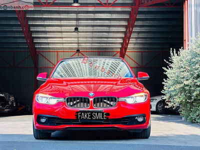 Xe BMW 3 Series 320i 2016