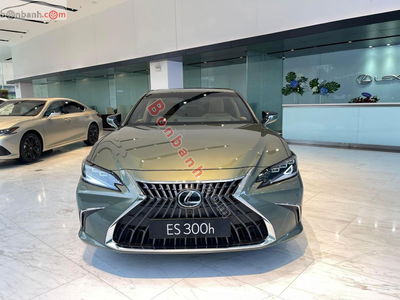 Xe Lexus ES 300h 2025