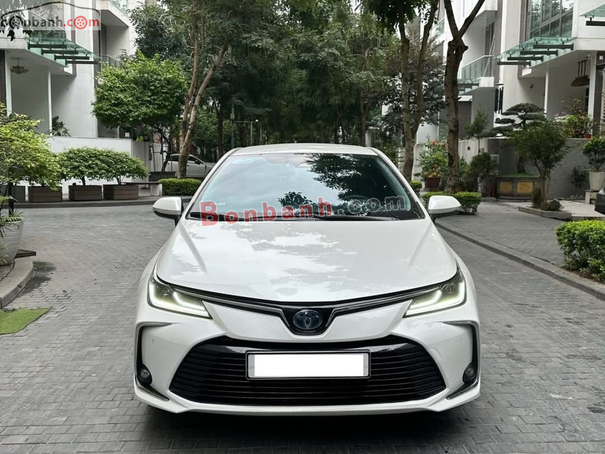 Xe Toyota Corolla altis 1.8HEV 2023