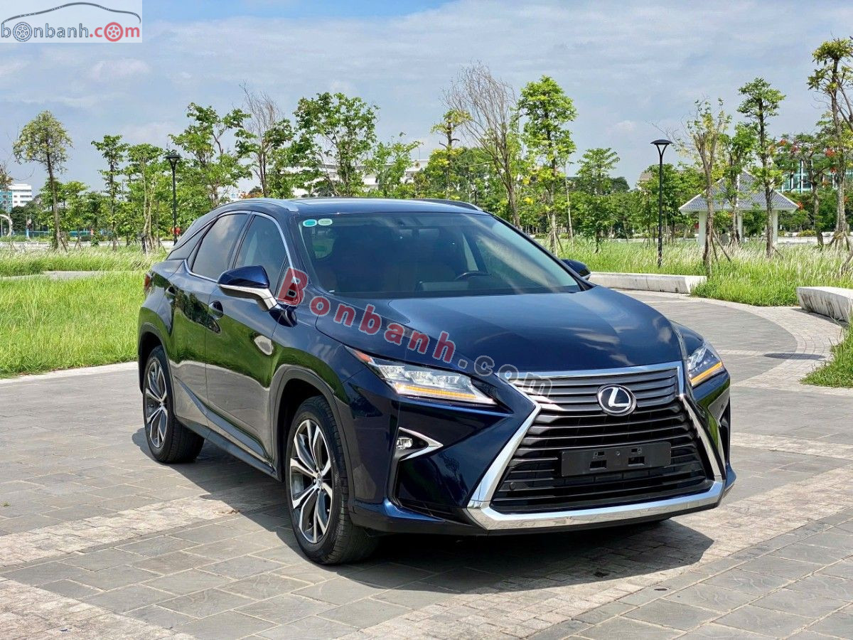 Xe Lexus RX 300 2019