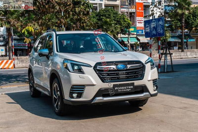 Xe Subaru Forester 2.0i-S EyeSight 2024