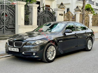 Xe BMW 5 Series 520i 2014
