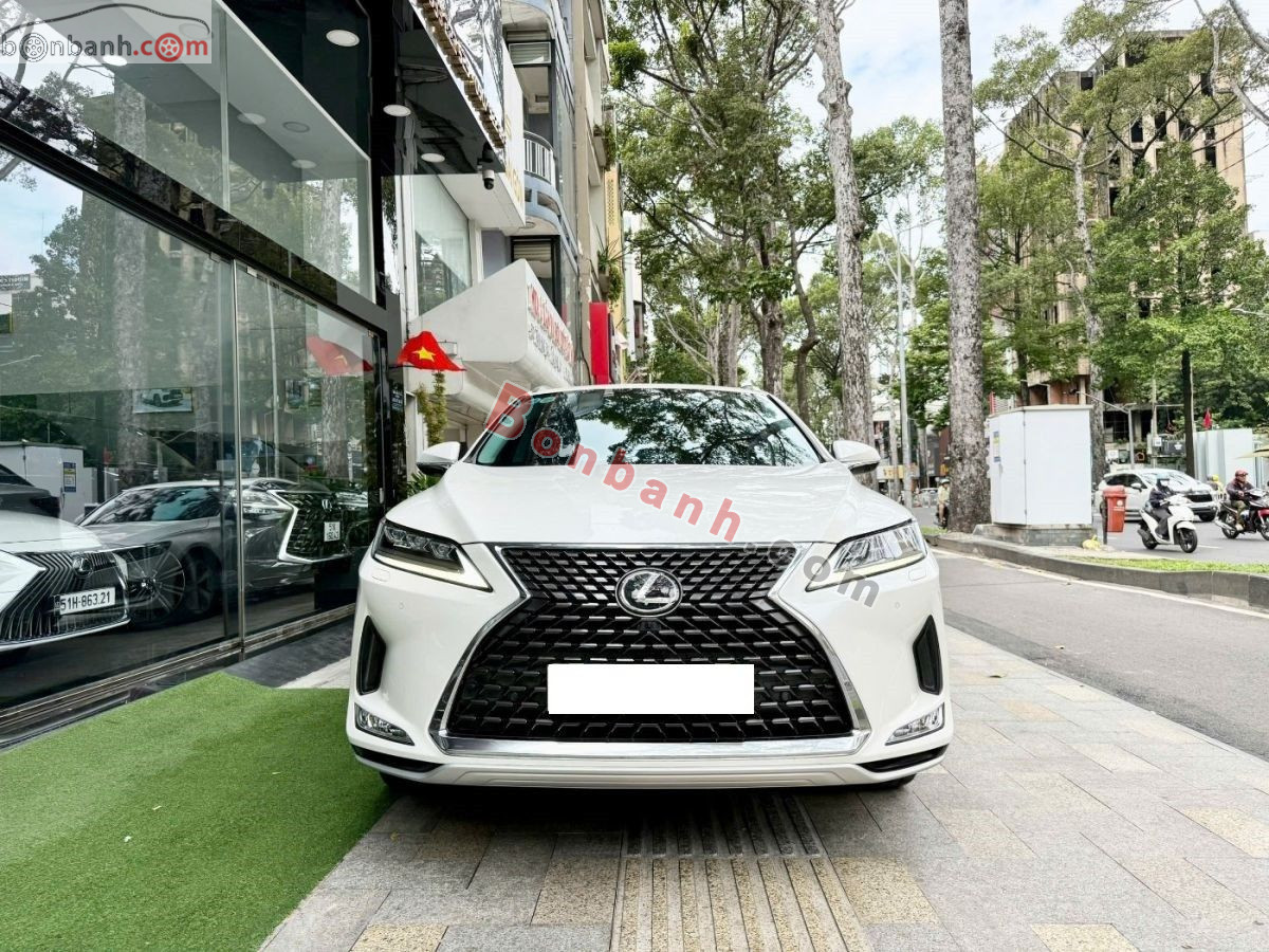 Xe Lexus RX 300 2021