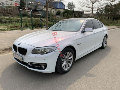 Xe BMW 5 Series 523i 2011