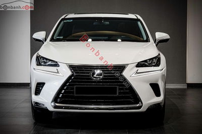 Xe Lexus NX 300 2018