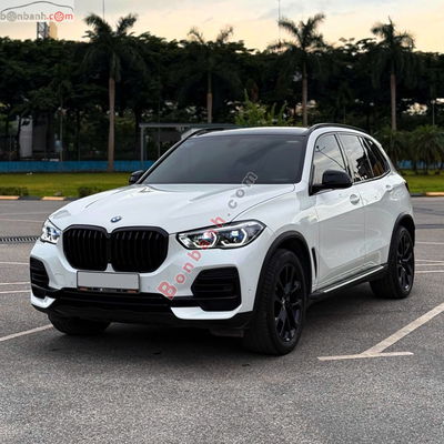 Xe BMW X5 xDrive40i xLine 2022