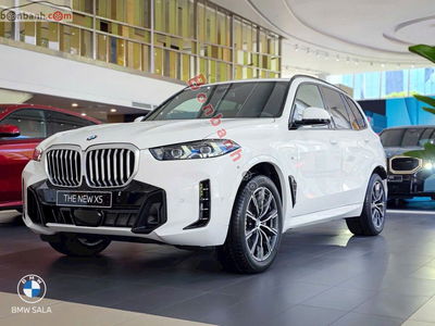 Xe BMW X5 xDrive40i M Sport 2024
