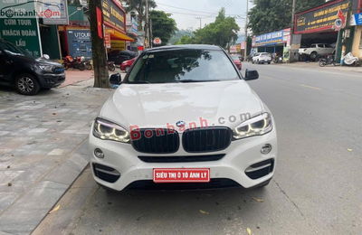 Xe BMW X6 xDrive30d 2014