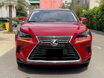 Xe Lexus NX 300 2018