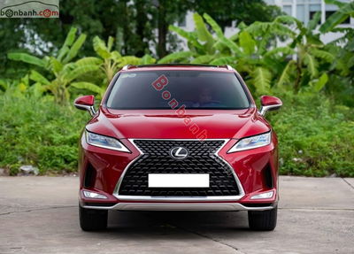 Xe Lexus RX 300 2022