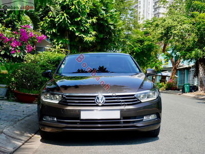 Xe Volkswagen Passat 1.8 Bluemotion 2017