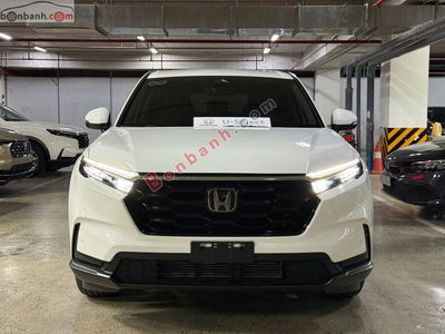 Xe Honda CRV G 2024