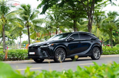 Xe Lexus RX 350 Luxury 2023