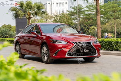 Xe Lexus ES 300h 2024