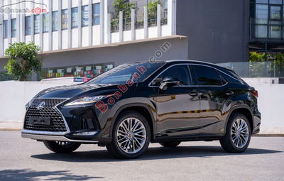 Xe Lexus RX 300 2021