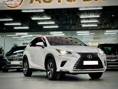 Xe Lexus NX 300 2018