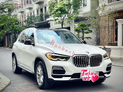 Xe BMW X5 xDrive40i xLine 2019