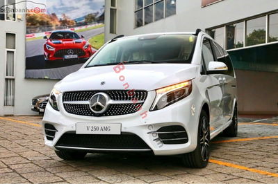 Xe Mercedes Benz V class V250 AMG 2024