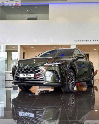 Xe Lexus RX 350h Premium 2025