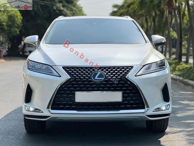 Xe Lexus RX 350 2021