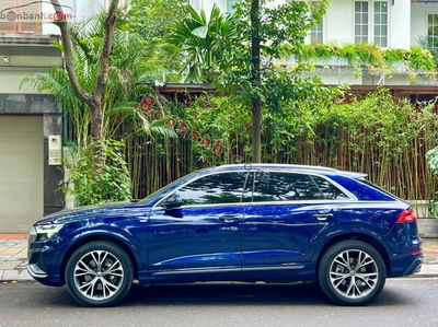 Xe Audi Q8 55 TFSI S-Line Quattro 2020