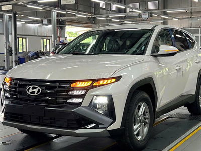 ✨ 𝐓𝐔𝐂𝐒𝐎𝐍 𝐅𝐋 𝟐𝟎𝟐𝟓 - 𝐔̛𝐔 Đ𝐀̃𝐈 đ𝐞̂́𝐧 𝟓𝟎% 𝐓𝐡𝐮𝐞̂́ 💵