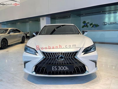 Xe Lexus ES 300h 2025