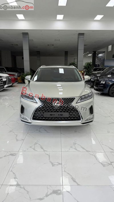 Xe Lexus RX 300 2020