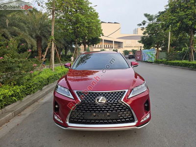 Xe Lexus RX 300 2022
